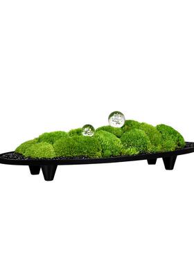新中式船形入户玄关绿植摆件永生青苔微景观客厅餐桌会议桌装饰品