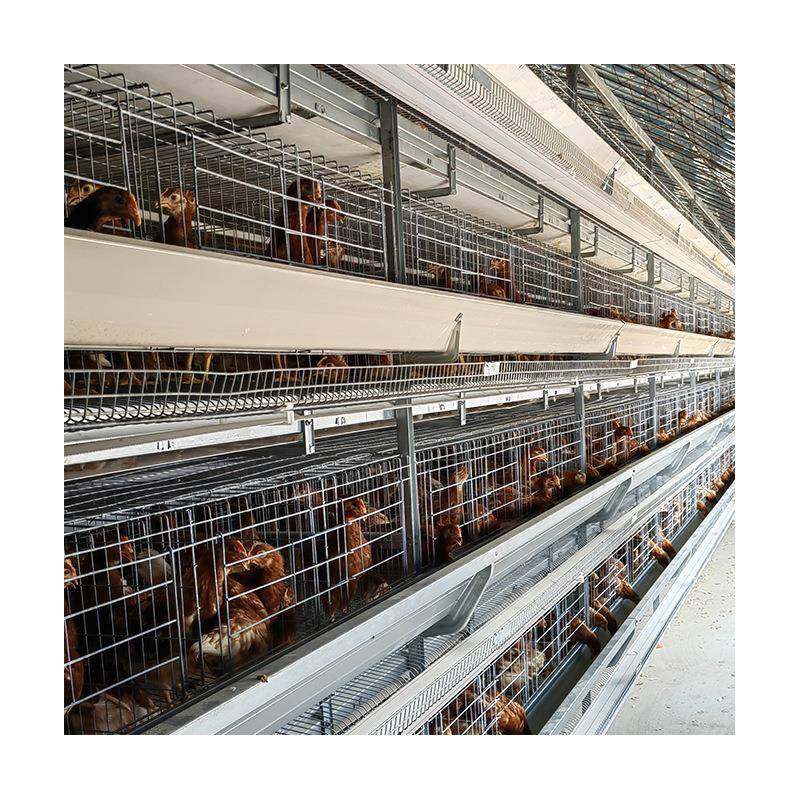 小层叠蛋鸡笼厂家框架叠式阶梯式养鸡笼畜牧养殖全自动化鸡笼,淘宝优惠券,粉丝福利购,淘宝优惠卷