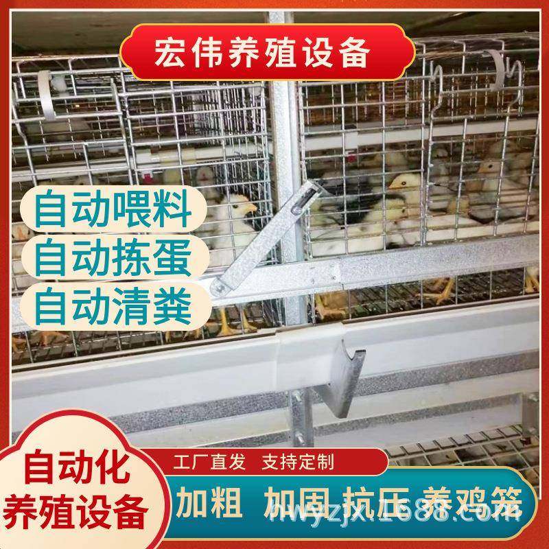 多层蛋鸡笼现代智能化养殖设备可做4层/3层养殖热镀锌养鸡笼,淘宝优惠券,粉丝福利购,淘宝优惠卷