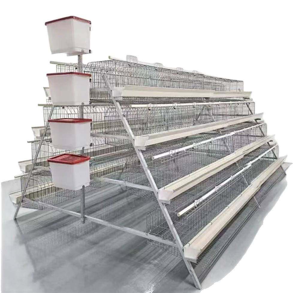 阶梯式蛋鸡笼热镀锌材质防锈耐用适配100-500羽蛋鸡带集蛋槽,淘宝优惠券,粉丝福利购,淘宝优惠卷