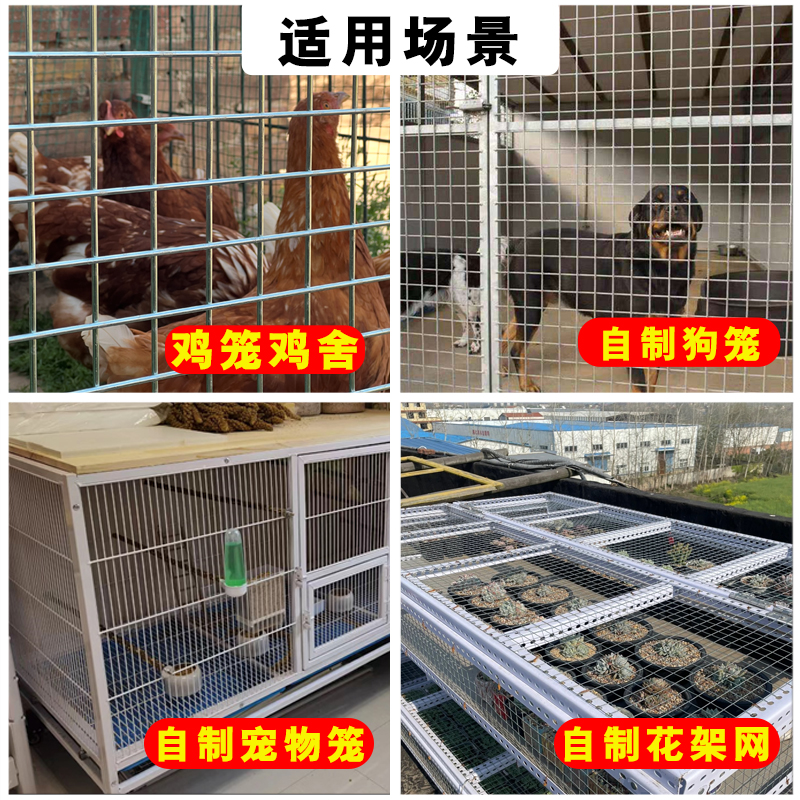 加粗镀锌铁丝电焊网片家用鸡狗鸟兔笼钢丝网格养殖围栏防护隔离网-图1