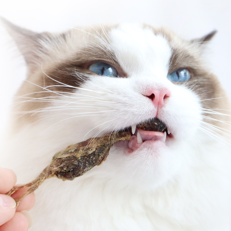 爱立方鹌鹑冻干猫咪零食110g猫冻干生骨肉宠物零食补钙磨牙猫零食-图2