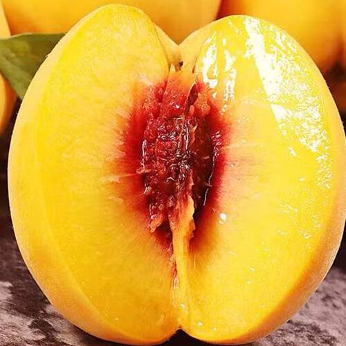 新品种新品特大黄桃树苗脆甜果大晚熟地栽盆栽南北方种植嫁接桃树 - 图3