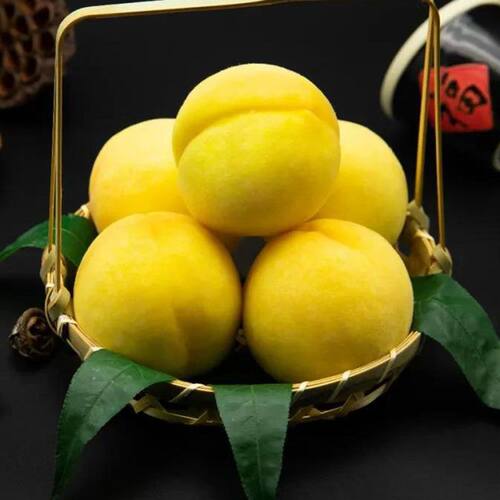 新品种新品特大黄桃树苗脆甜果大晚熟地栽盆栽南北方种植嫁接桃树 - 图2