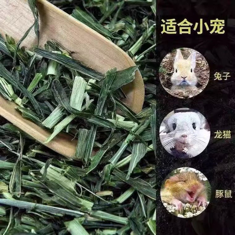 新鲜烘干大麦草段干草营养多维易消化兔子荷兰猪豚鼠大麦草粮食 - 图0