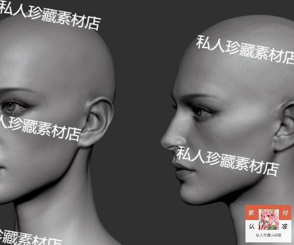 zbrush写实美女头部肖像脸部3D模型zb皮肤五官雕刻雕塑模型可打印 - 图2