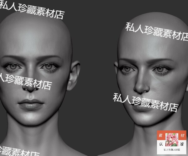 zbrush写实美女头部肖像脸部3D模型zb皮肤五官雕刻雕塑模型可打印 - 图0