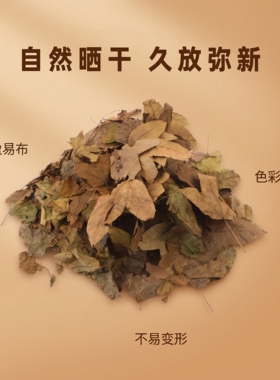 枫树叶铺设场地室内花艺场景装饰