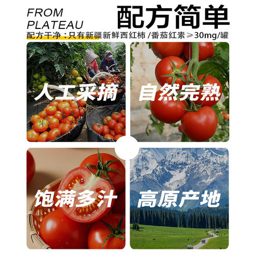 【25年新货】笑厨新疆新鲜西红柿块罐头400g番茄酱自然成熟番茄丁 - 图1