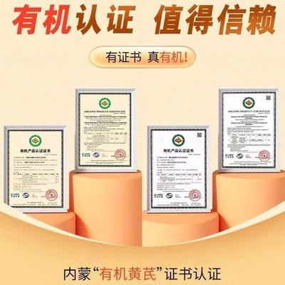 扬子江黄芪精10ml*18支补血养气固本止汗精神不足体虚补气虚养血
