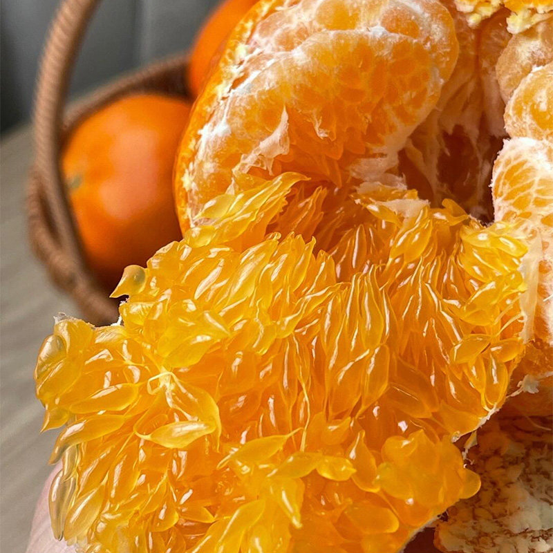 晓橘甘平眉山柑橘皇后当季新鲜水果橘子现摘现发整箱4.5斤礼盒装,淘宝优惠券,粉丝福利购,淘宝优惠卷