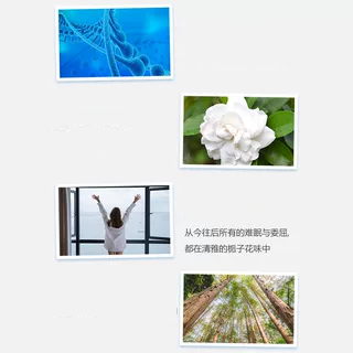 roomplus栀子花洗发水洗护旅行装沐浴露护发素小样袋装小包装便携 - 图1