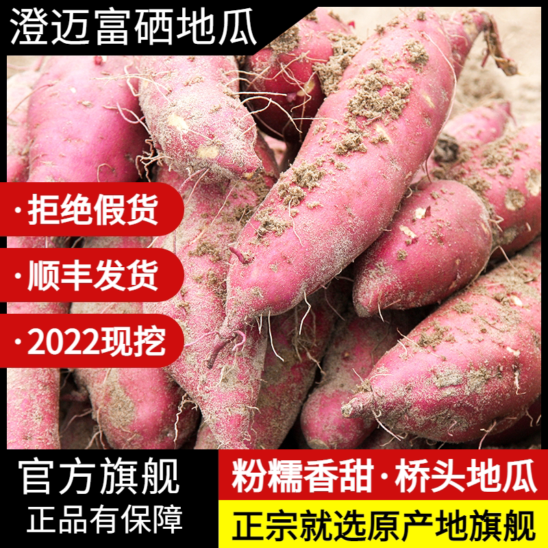 官方原产地旗舰店海南澄迈桥头礼盒 澄迈原产地商品番薯