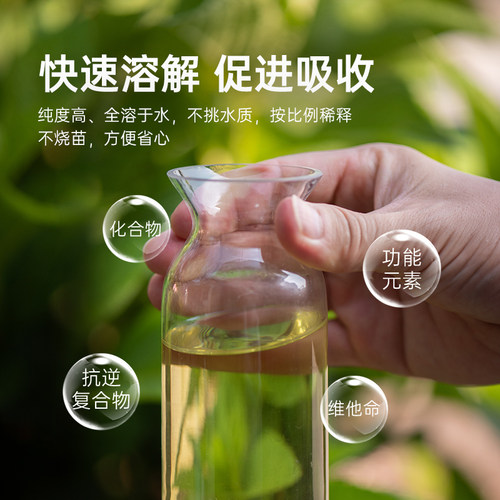 海蒂的花园旗舰店花多多2号花肥1号水溶肥花卉肥料植物通用型花肥 - 图2