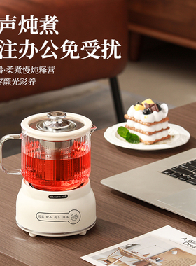 养生壶多功能家用小型迷你办公室