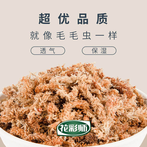 花彩师进口智利水苔7A级毛毛虫石斛文心兰绿植栽培干水苔爬宠垫材 - 图0