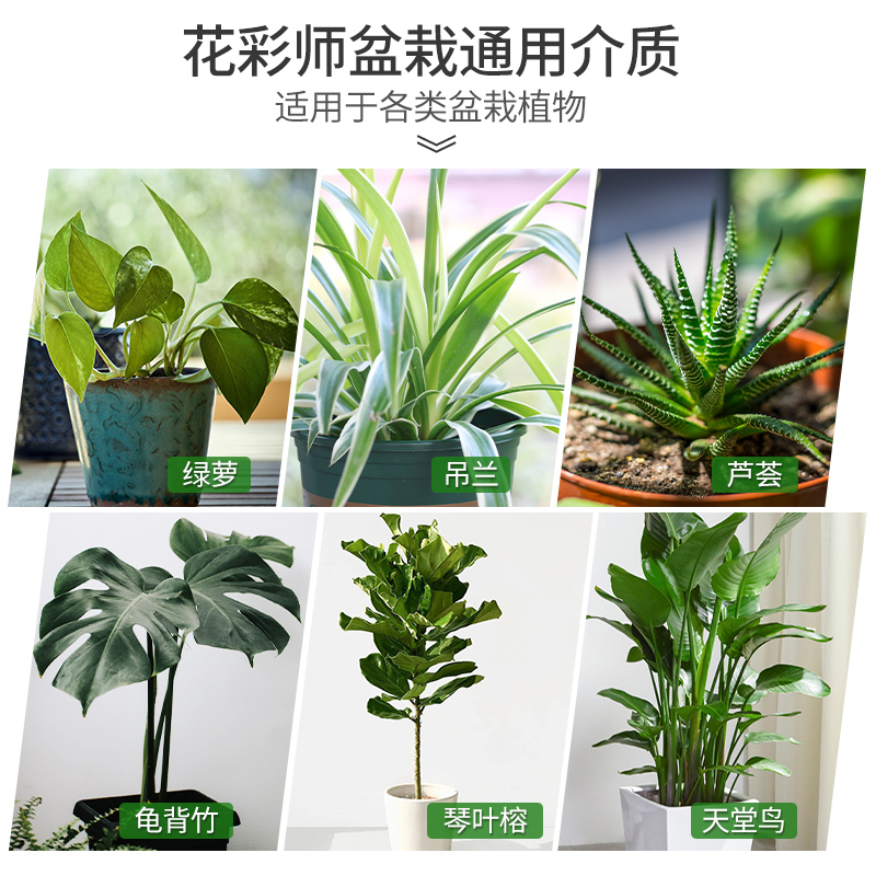 花彩师土培盆栽植物通用营养土绿植花卉专用培育土育苗土室内室外 - 图2