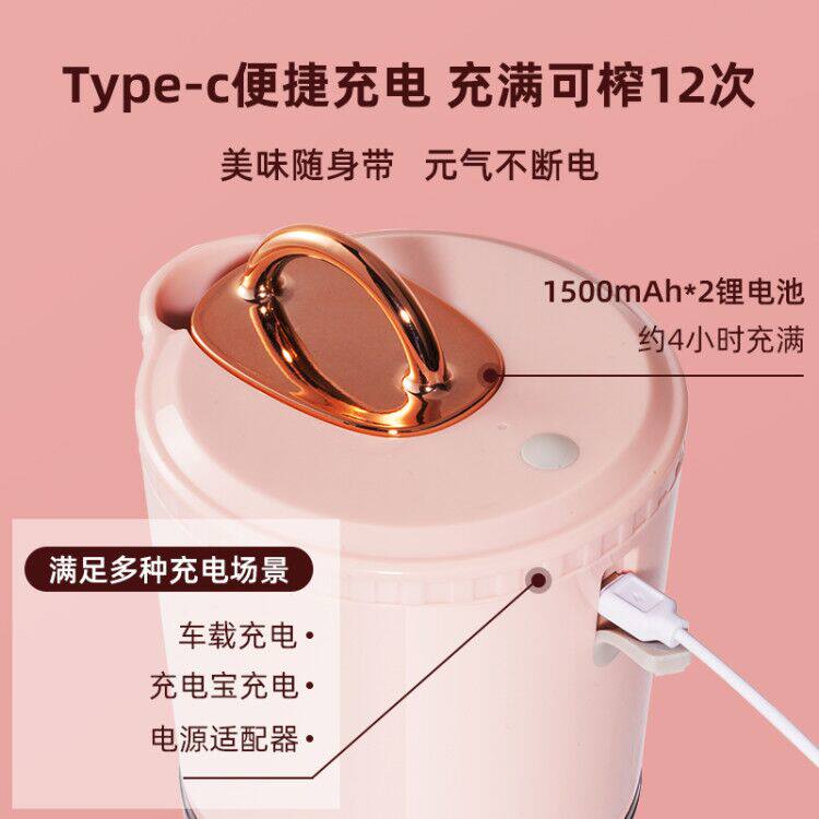 奥克斯小型便携式家用渣汁杯果汁机 奥克斯劲辉冬华榨汁机
