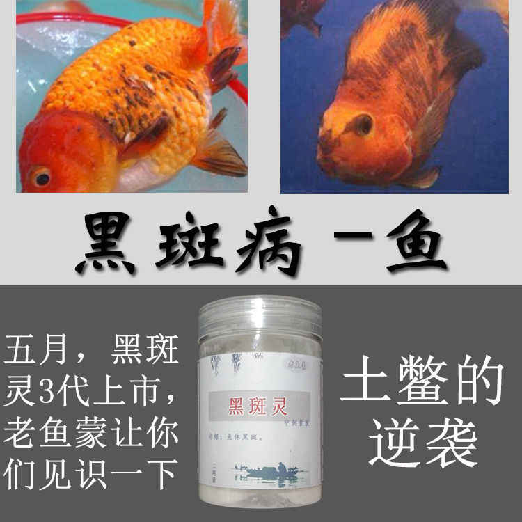 金鱼黑斑 新人首单立减十元 21年10月 淘宝海外