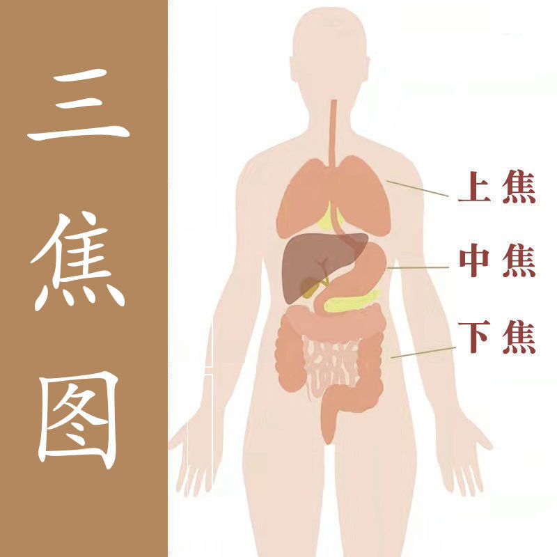 疏通中焦全躯膏三焦全通气血疏肝健脾胃调中焦不通通焦膏上热下寒 - 图0