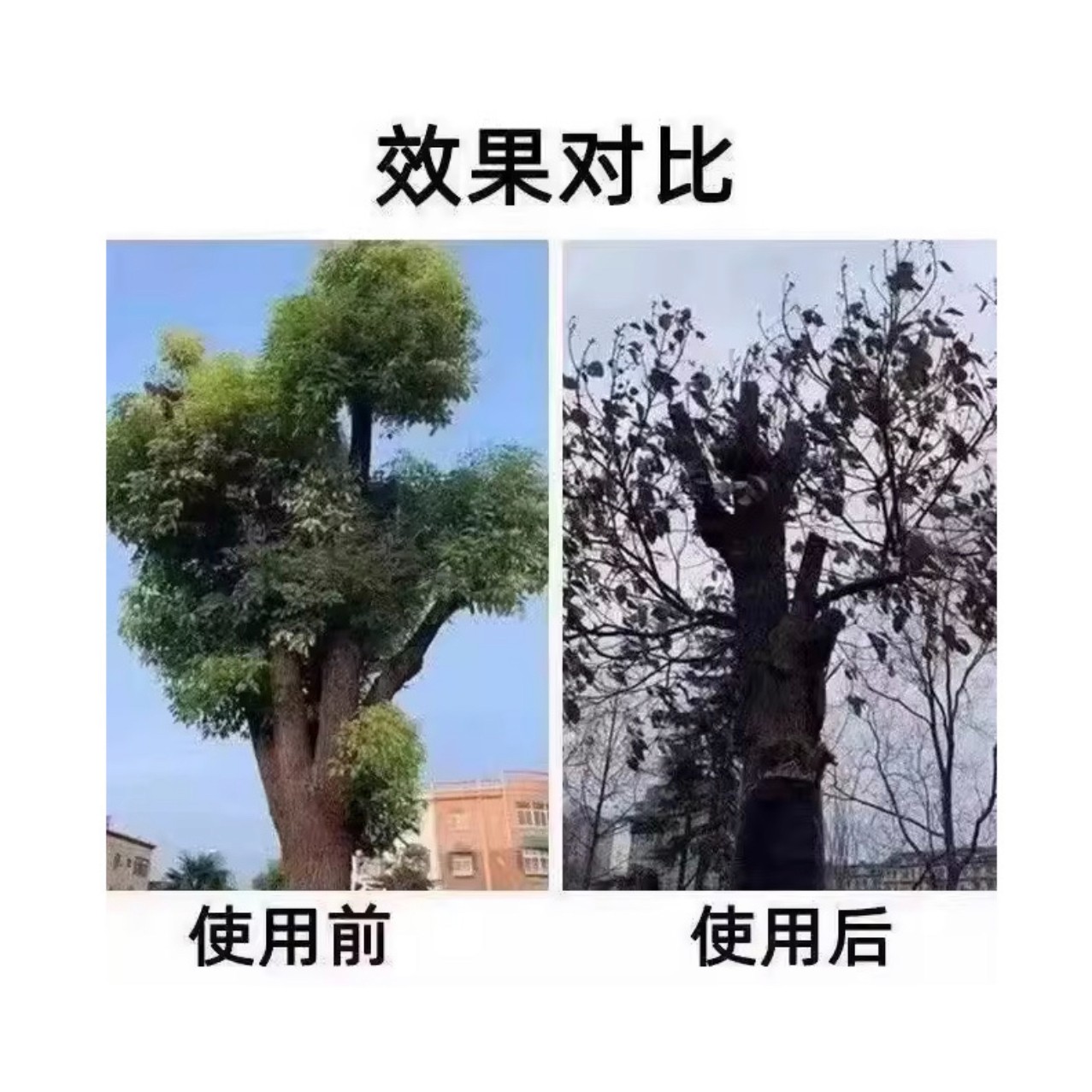 麒丁四季通用开荒乔木藤蔓树木杂草一针倒开荒 - 图1