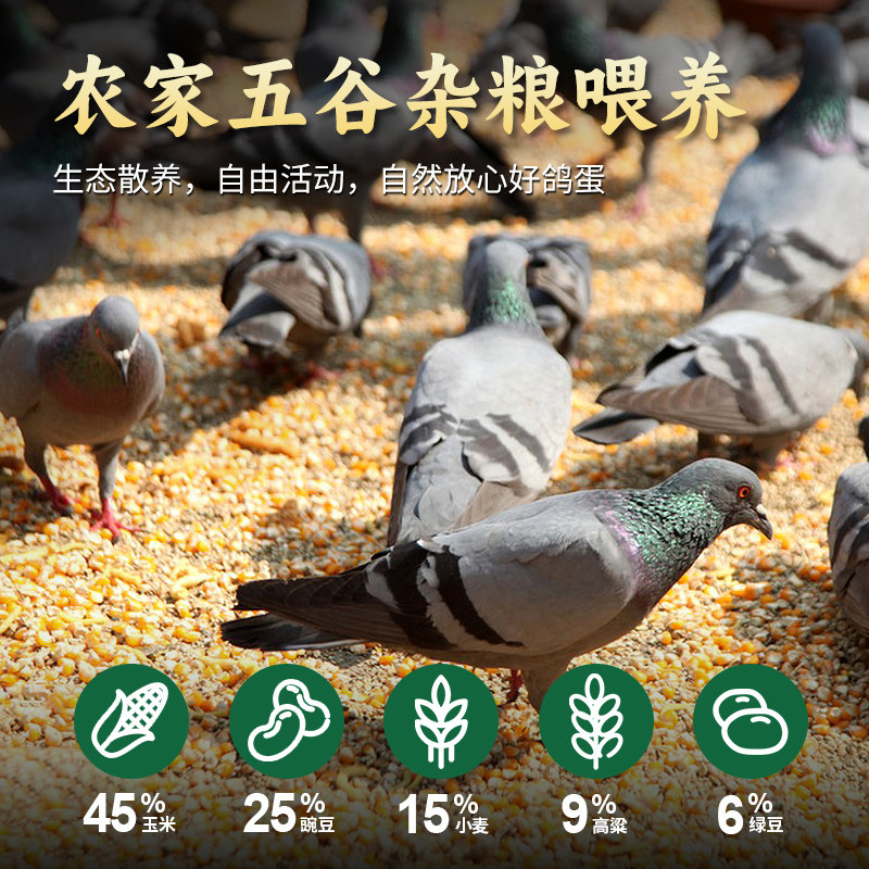 耕果妙新鲜鸽子蛋30枚净重600g农家散养鸽蛋 年货礼盒 京东快递,淘宝优惠券,粉丝福利购,淘宝优惠卷