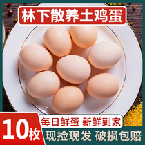 Farmhouse Scattered Earth Eggs 10 Fresh start Egg Cereal Eggs Rural Firewood Eggs Bulky Eggs 40g