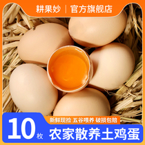 (Enjia special share) Lin Lower Loose Breeding Earth Eggs 10 Grain Eggs Firewood Eggs Grass Eggs Whole Boxes 50g
