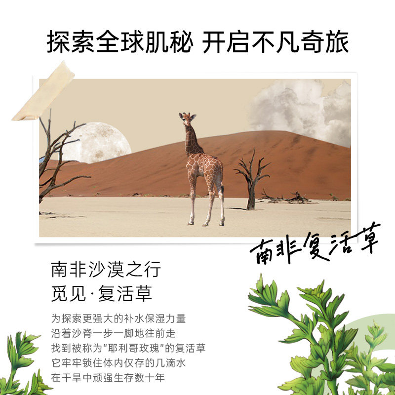 gonim水风暴补水修护女复活草面膜 Gonim贴片面膜