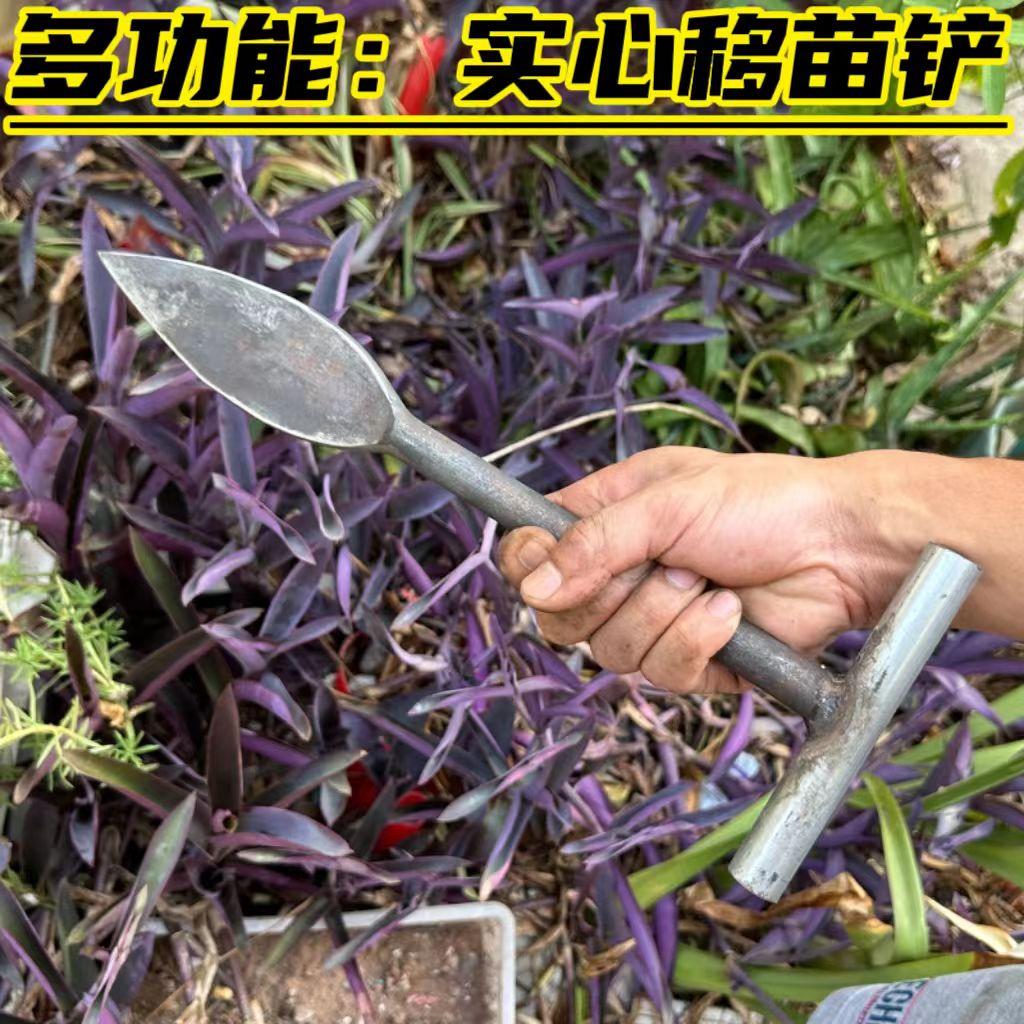 弹簧钢挖笋钢锹带柄树锹淬火T型挖笋专用采药挖竹笋铲挖豆苗钢锹 - 图0