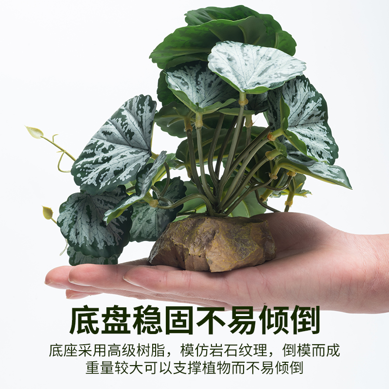 爬虫箱造景高仿真植物水陆生态缸陆龟蜥蜴守宫假植物摆件盆景装饰 - 图0