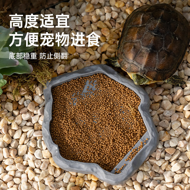 爬宠乌龟喂食盆水盆角蛙寄居蟹泡澡盆低水位爬宠饲养箱专用饮水盆 - 图2