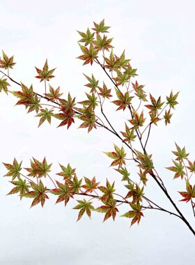 枫树叶大枝4叉仿真菩提