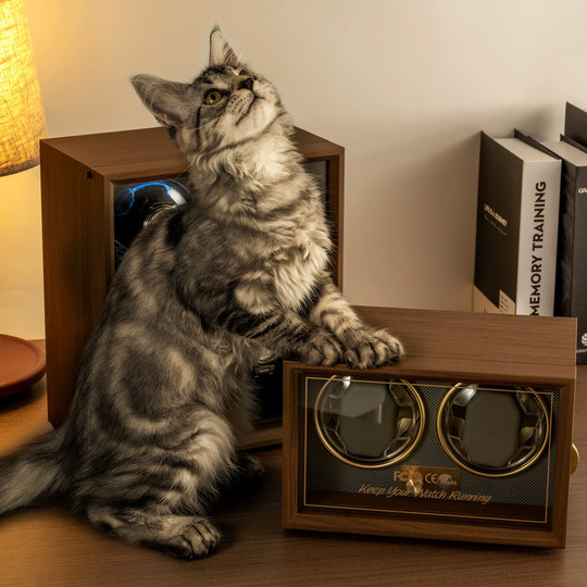 KLUPE automatic mechanical watch shaker