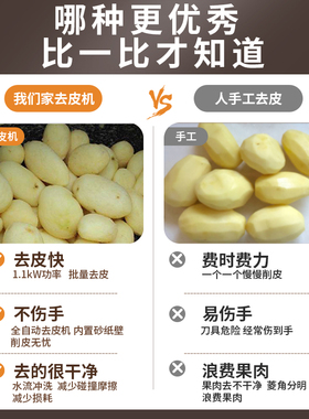 全自动土豆削皮机东贝商用