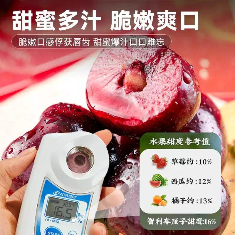 3斤现货桑提娜智利进口车厘子特大4j5新鲜孕妇樱桃水果桑缇娜樱桃,淘宝优惠券,粉丝福利购,淘宝优惠卷