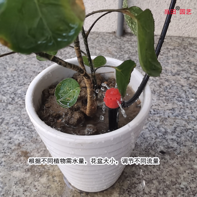 家用花盆8/11管微喷滴灌滴水地插可调节喷头9/12管自动浇花器喷头-图2