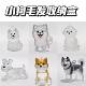 Cute puppy transparent hair storage box high-value pendant decoration commemorative gauger dust box collection toys