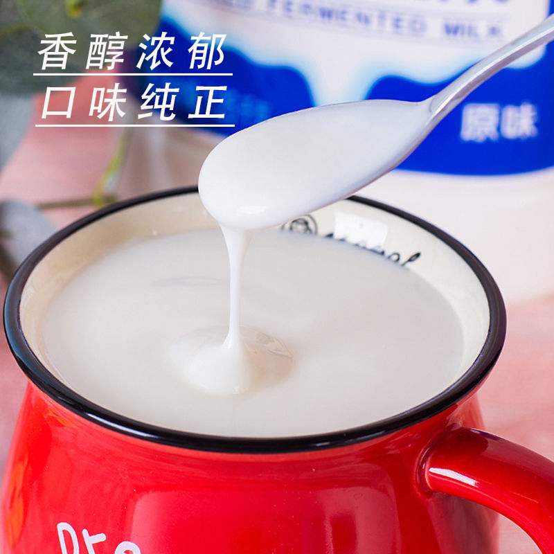 光明益生菌酸奶原味1.25kg大桶2桶装风味发酵乳酸牛奶营养早餐奶 - 图1