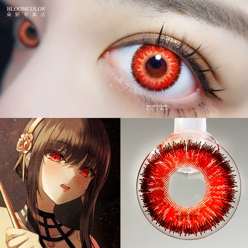 1 Шпион имеет шпион, семейство Joor Cos Cos, ученик, принцесса Red Thorn, Аннания Dusk, Laudford