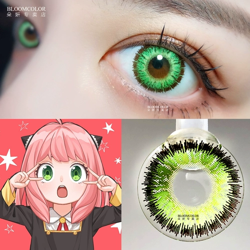 1 Шпион имеет шпион, семейство Joor Cos Cos, ученик, принцесса Red Thorn, Аннания Dusk, Laudford