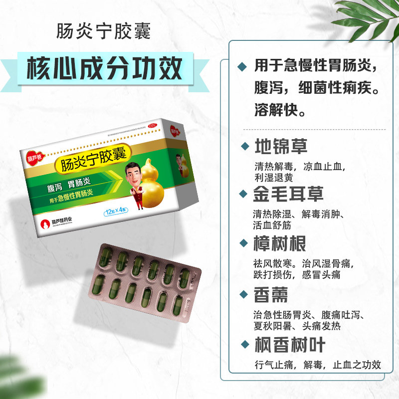 葫芦娃葫芦爸0.3 g*48肠炎宁胶囊 葫芦娃医药肠胃用药