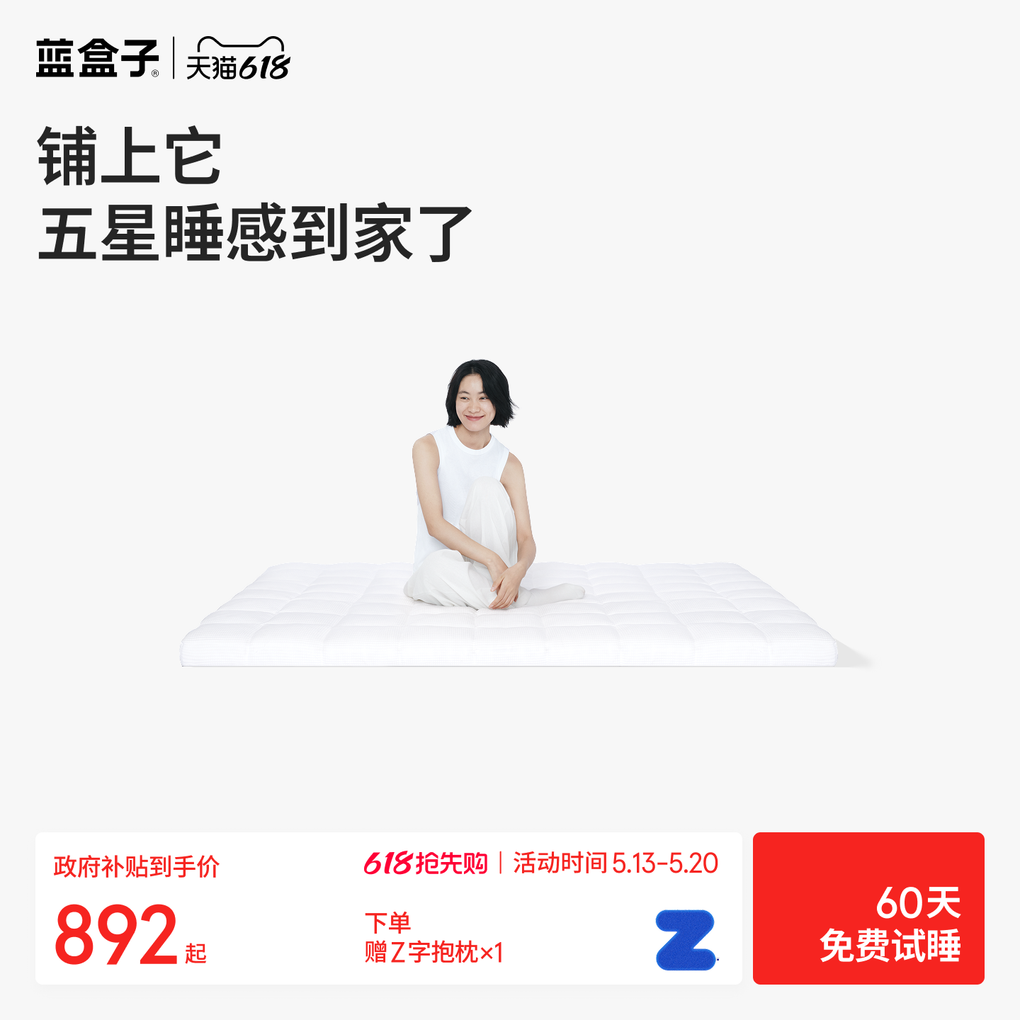 蓝盒子小蓝垫T2Pro记忆棉床垫薄垫家用软垫酒店专用双人榻榻米垫