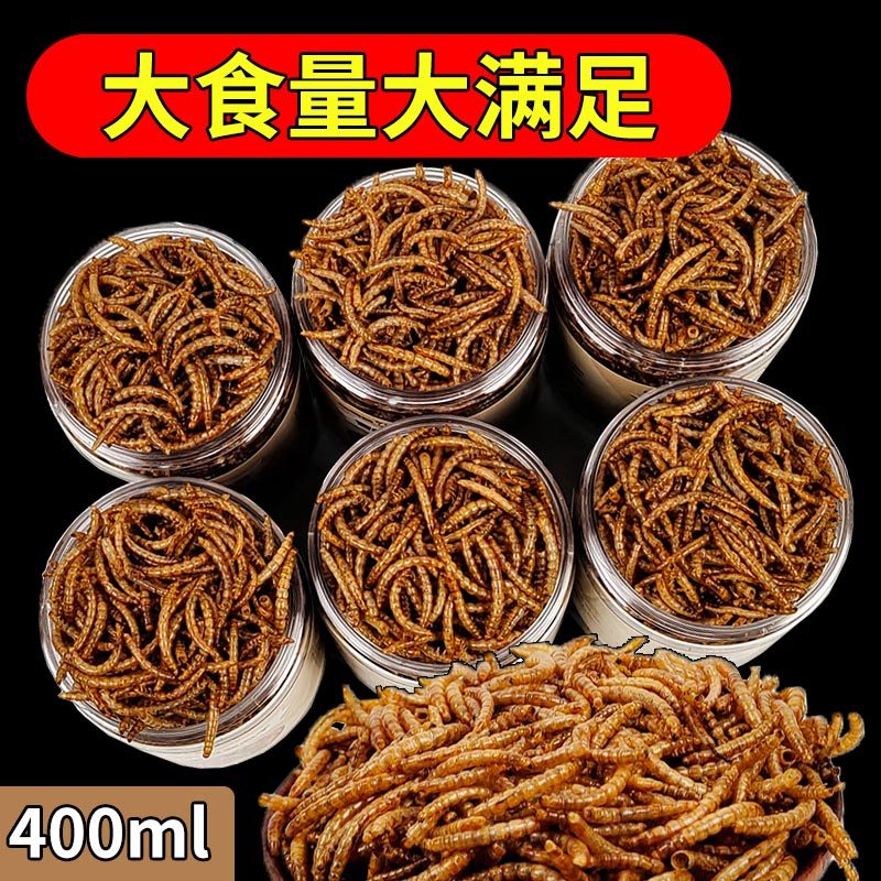 宠物营养零食面包虫干仓鼠刺猬粮食小龟粮用品主粮鸟零食400ml,淘宝优惠券,粉丝福利购,淘宝优惠卷