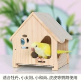 Пион из шкуры тигра, маленькое солнце играет, чтобы избежать попугаев, птичьего гнезда, деревянный дом, универсальная выдвижная нижняя сетка из нержавеющей стали