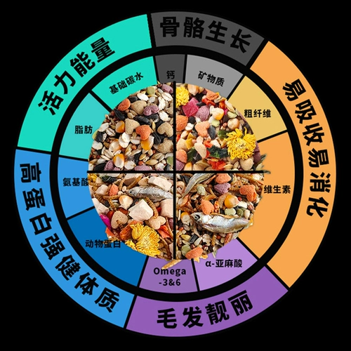 Четыре барреля хомяка зернового питания Главный зерно трудовой молоток упаковывает однородные цветочные крысы и золотые пищевые закуски