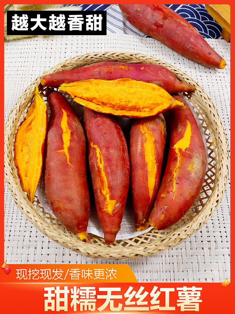 蜜薯糖心现挖新鲜9斤西瓜红味山芋 果麦颂番薯