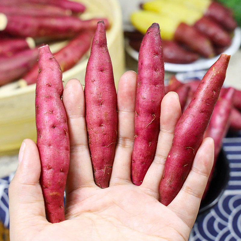 临安天目山小香薯10斤农家小红薯 果麦颂番薯