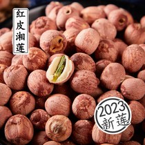 New stock Hunan Xiangtan Special production of red pili lotus seed 500g dry goods with core powder glutinous with leather lotus seed without sulphur farmyard dry goods