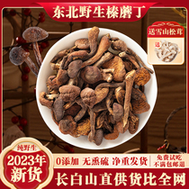 Northeast Terrific wild hazelnut mushroom Dry stock 500g Chicken Stew mushrooms Changbai Mountain Oyster Mushroom non-Tent Grade New Cargo No Root